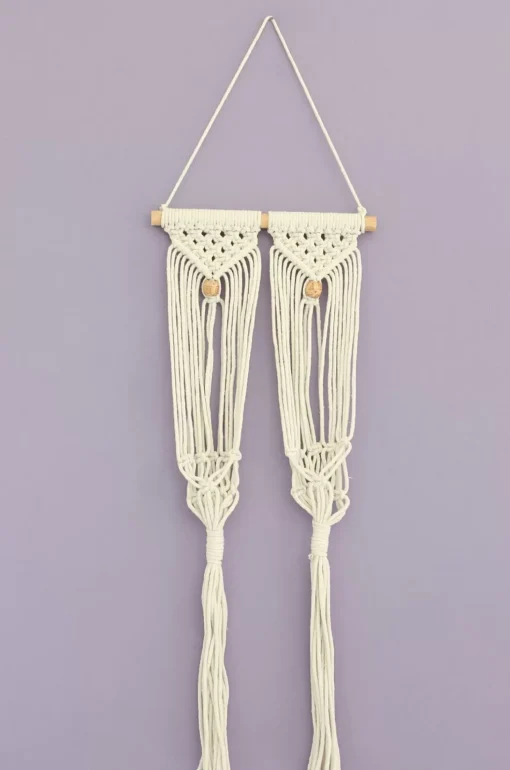 Besides You Macrame Knotted Planter Hanging