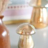 Figgy Soy Wax Glass Candle With Lid