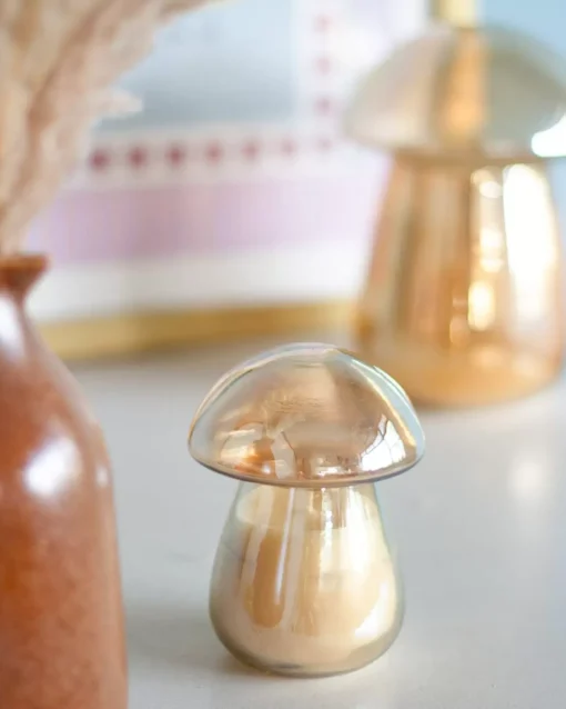Figgy Soy Wax Glass Candle With Lid