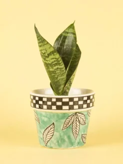 Gingham Planter -Jade