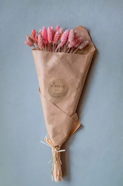 Harvest Natural Dried Flowers Bouquet - 50Cm