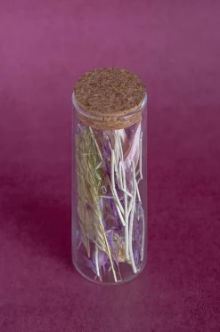 Lavenderia Natural Dried Flowers In Glass Tube With Cork Lid
