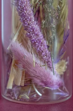 Lavenderia Natural Dried Flowers In Glass Tube With Cork Lid