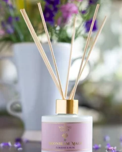 Moonbeam Magic Reed Diffuser
