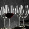 Nachtmann Vivendi Burgundy Set Of 6