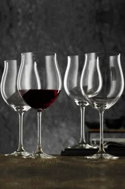 Nachtmann Vivendi Burgundy Set Of 6