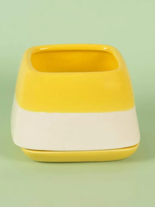 Nova Half N Half Ceramic Planter