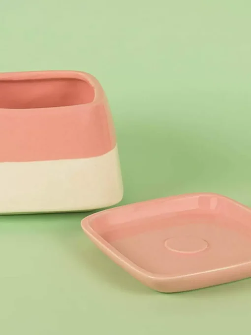 Nova Half N Half Ceramic Planter