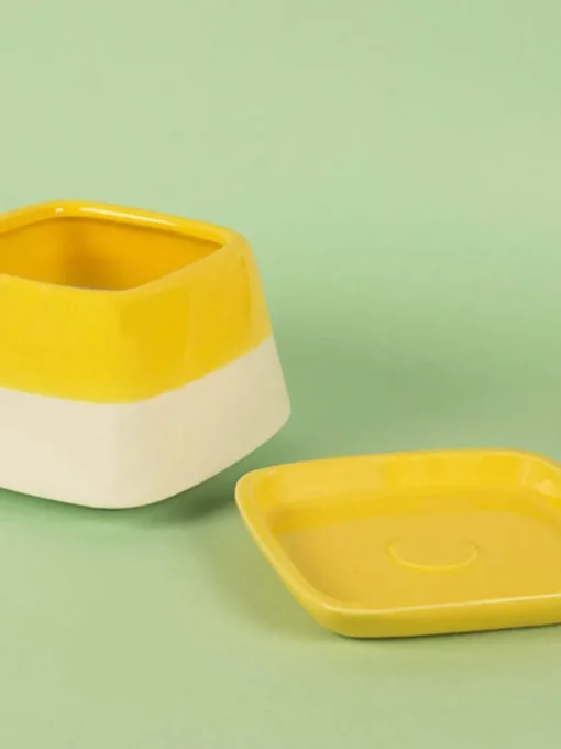 Nova Half N Half Ceramic Planter