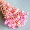 Serenique Natural Dried Flowers Bouquet - 50Cm