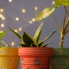 Stencil Planter- Lady Bug